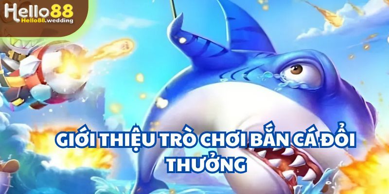 Thêm hiểu biết về cổng game bắn cá đổi thưởng