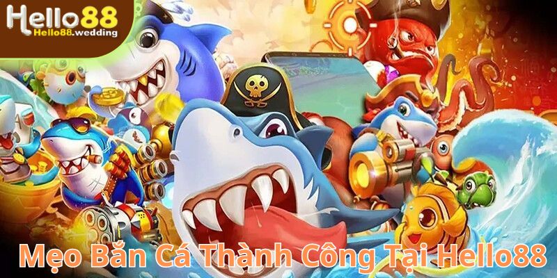 Thành công khi săn cá làm gia tăng giá trị tài khoản của bạn trong game.