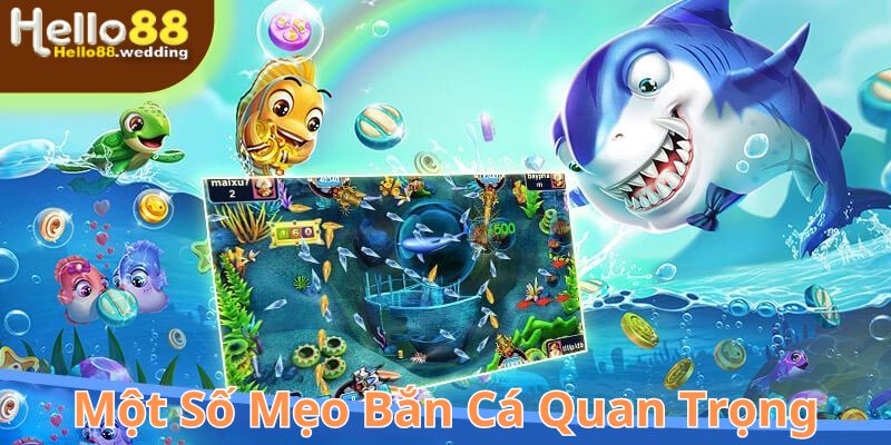 Một trong những mẹo bắn cá quan trọng là xác định mục tiêu dễ bắn