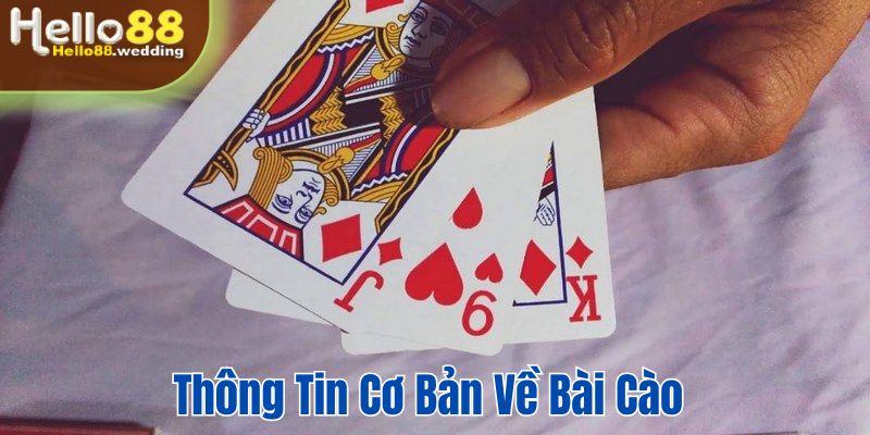 Thông tin cơ bản về bài cào