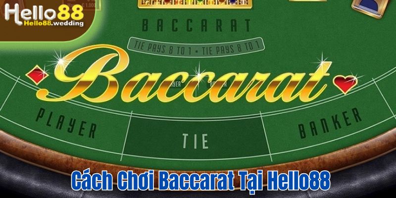 Cách chơi baccarat tại Hello88