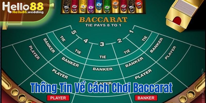 Thông tin về cách chơi baccarat cho hội viên