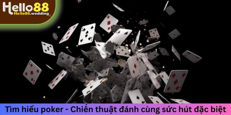 Tìm hiểu poker - Chiến thuật đánh cùng sức hút đặc biệt