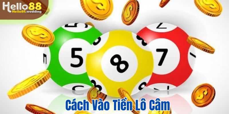 Cách vào tiền hiệu quả khi cược lô câm